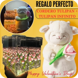 💐💐PELUCHE CORDERITO TULIPAN + TULIPAN INFINITO CAJA DE REGALO🌷🌷🐑🐑