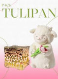 💐💐PELUCHE CORDERITO TULIPAN + TULIPAN INFINITO CAJA DE REGALO🌷🌷🐑🐑